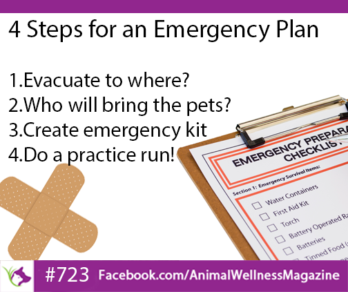 4 Steps for an Emergency Plan for your pets.  Click to read the article at Animal Wellness Magazine...